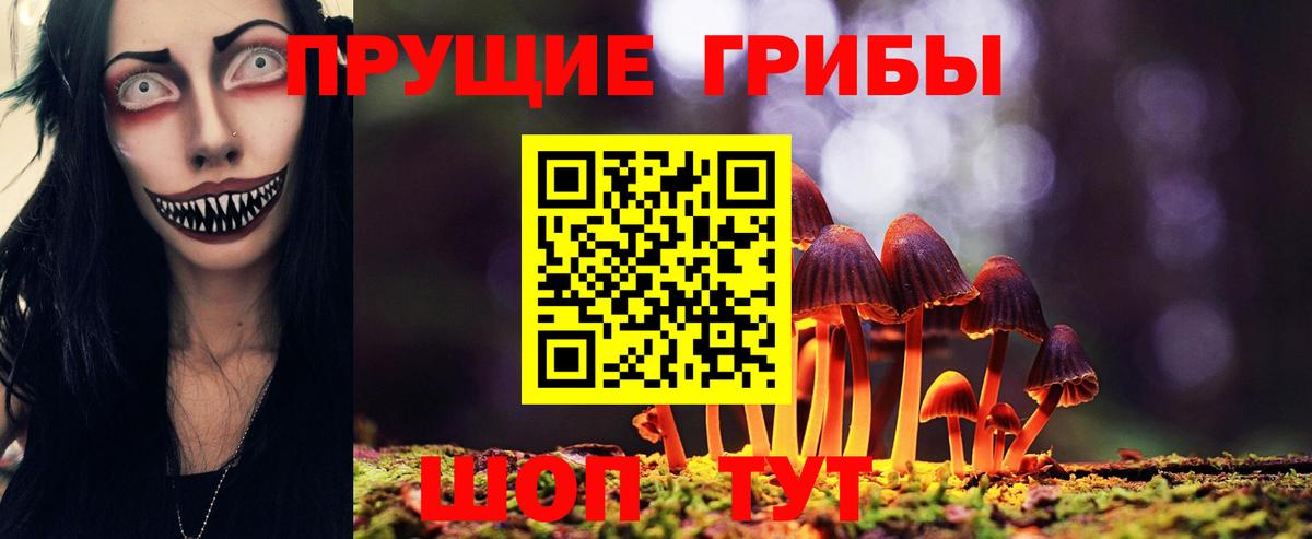 Псилоцибиновые грибы мицелий Мирный