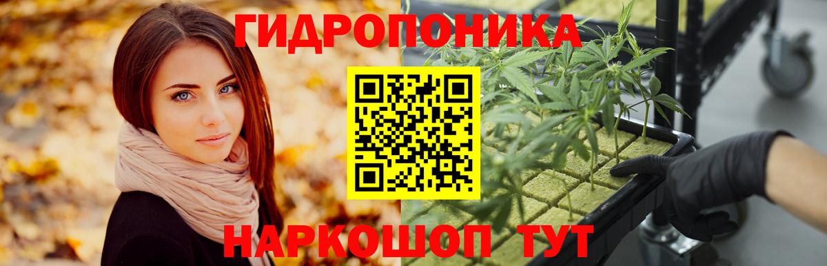 Бошки марихуана Amnesia  Вход с VPN  Бошки Шишки планчик  Канабис Ganja  Мирный 